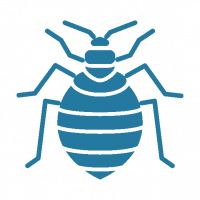 Bed Bug Icon