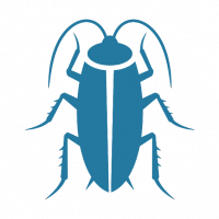 Light Blue Cockroach