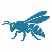 Light Blue Wasp